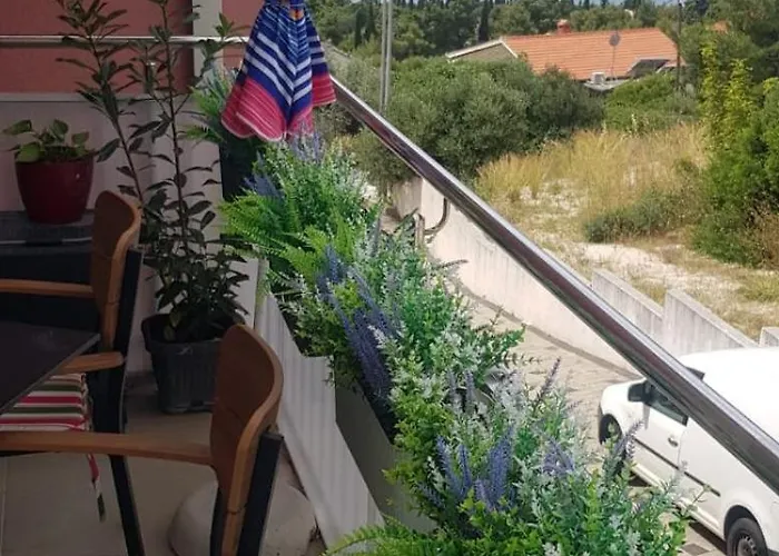 Goldy * טרוגיר